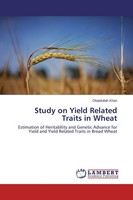 Study On Yield Related Traits In Wheat Obaidullah Khan