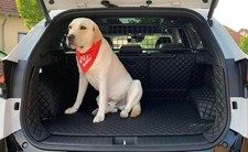 CARSTYLER® Kofferraummatte Kofferraumschutz Hund Für Skoda Kamiq Hoher Boden