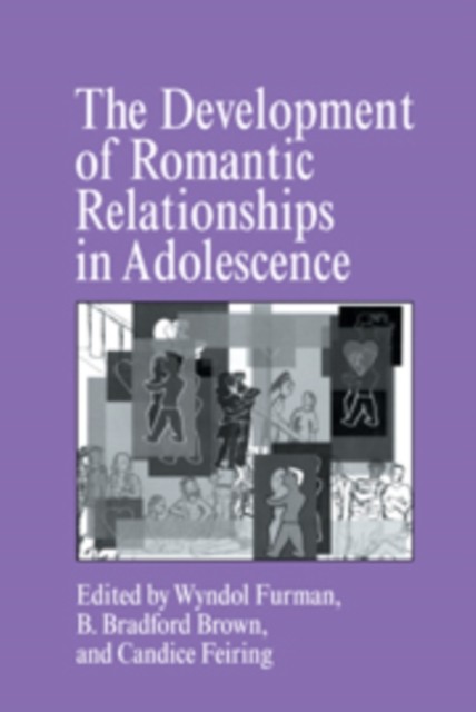 The Development of Romantic Relationships in Adolescence by Wyndol Furman NEW - Image 3