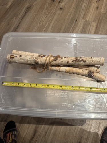 Natural Birch Logs Bundle – Rustic Farmhouse Décor, Craft or Fireplace Wood ~16”