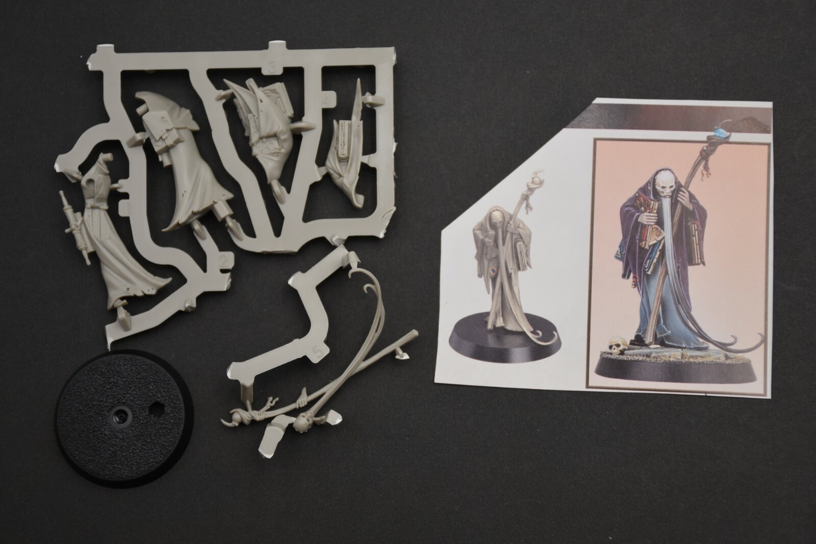 Octren Glimscry – Figurine Warhammer Age Of Sigmar Cursed City, Neuve Sur Sprue