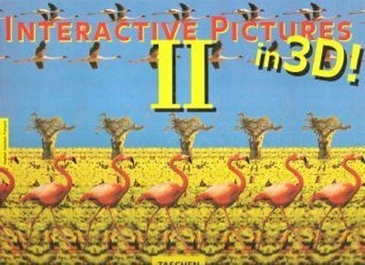 Interactive Pictures II Hardcover Ed Burkhard Riemschneider