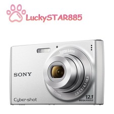 Sony Cyber-Shot DSC-W510 12.1MP CCD Vintage Digital Camera - 90 new-Silver