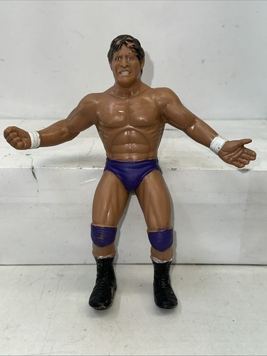 Vintage 1984 Titan Sports WWF WWE LJN Wrestling Su...
