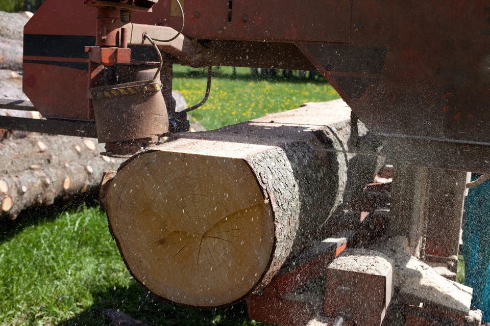 Lâminas de serra de fita para serrarias portáteis 1,25" x 0,042 x 7/8 Wood-Mizer - Imagem 4 de 4