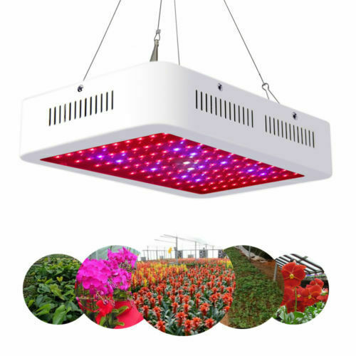 1000W LED Plant Grow Light Full Spectrum Lamp Indoor Greenhouse Veg ...