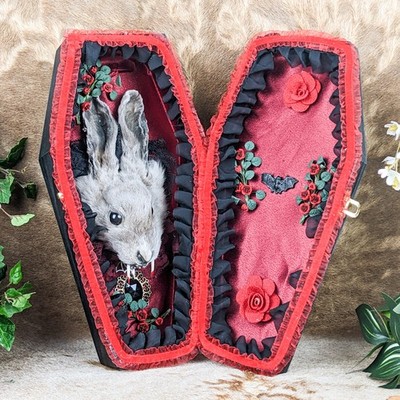 Vampire Dracula Bunny Rabbit Taxidermy Oddity Curiosity Coffin Gothic decor gift