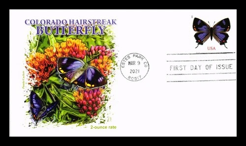 US COVER COLORADO HAIRSTREAK BUTTERFLY 2 OUNCE RATE FDC PANDA CACHET