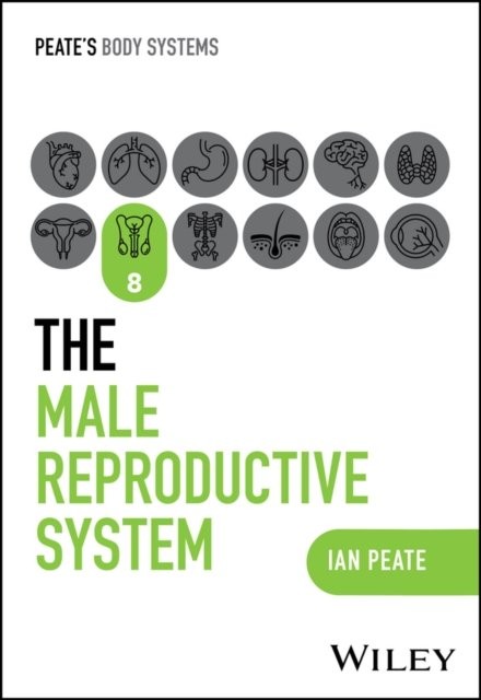 The Male Reproductive System by Ian Peate - - Image 3