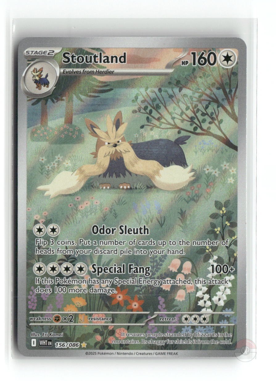 Stoutland 156/086 Illustration Rare White Flare Pokemon Holo NM