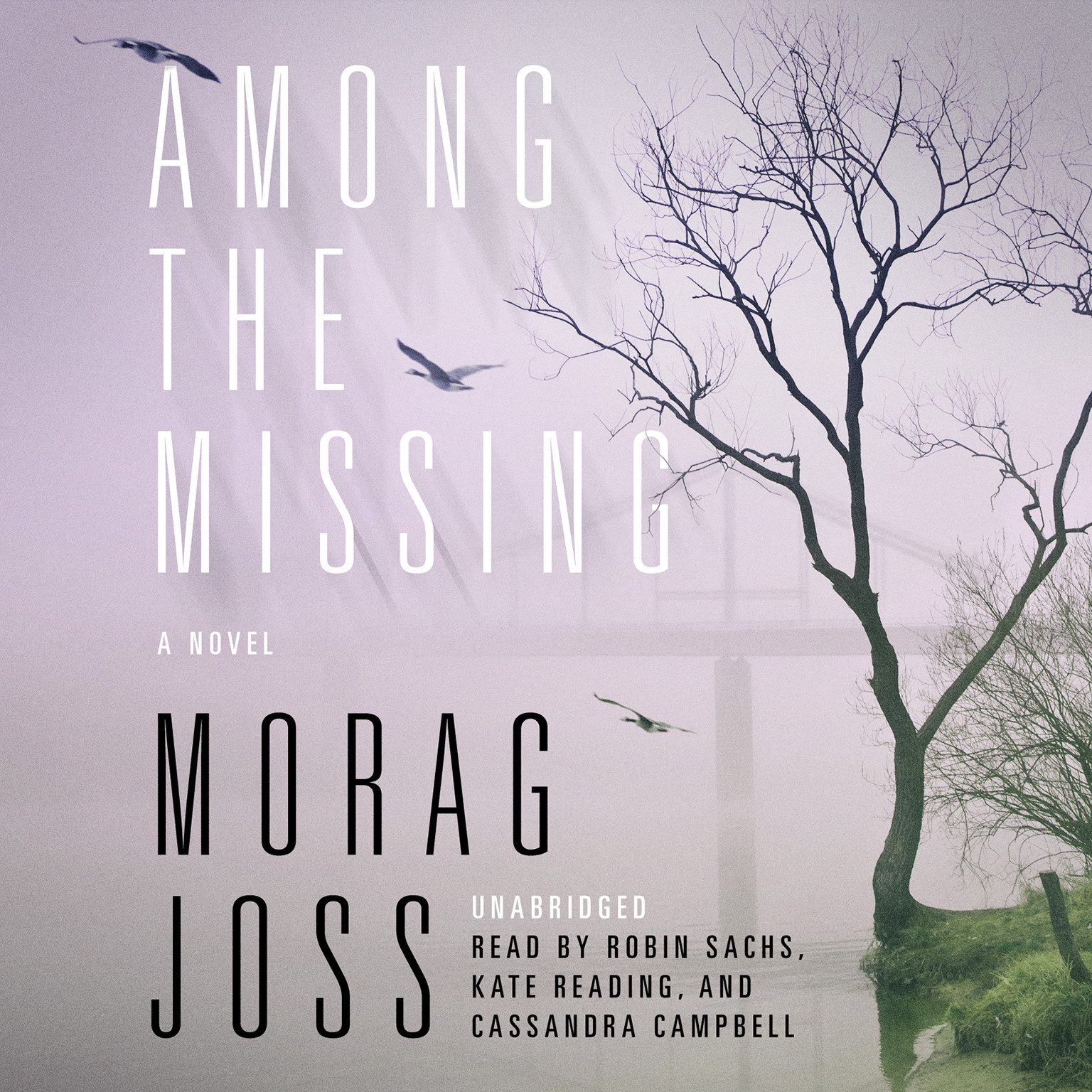 Among the Missing by Morag Joss Unabridged Audiobook CDs 2011 Edition 9781441789686