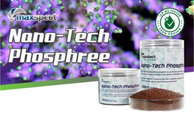 MAXSPECT NANO TECH Phosphree 500 ml Antifosfat Harz für Süß- und Meerwasser