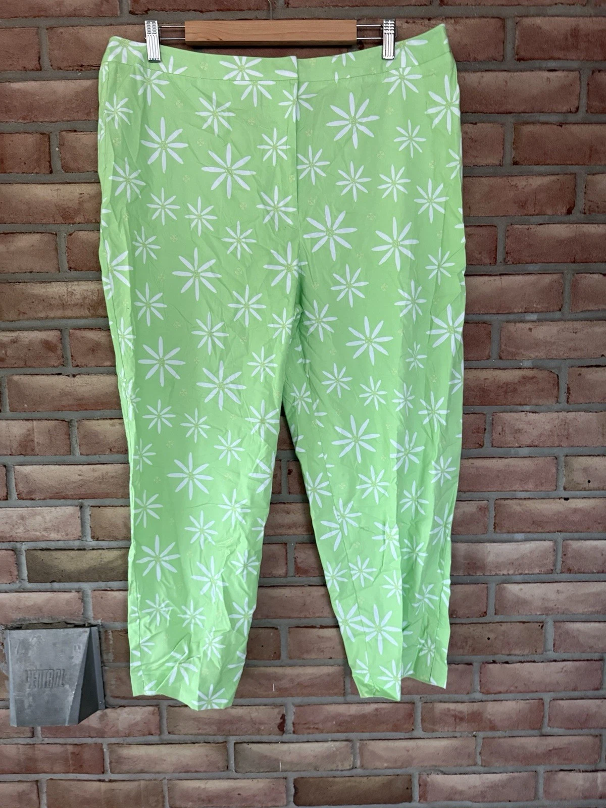 NWT David Brooks Size 18 Lime/White Floral CAPRI PANTS Stretch Cotton Org $78