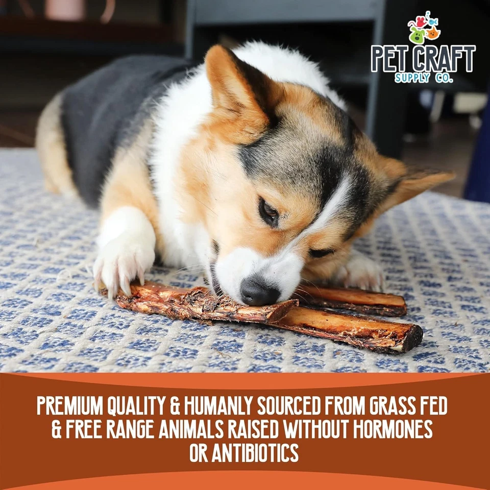 Golosinas masticables para perros con huesos de costillas de búfalo saludables totalmente naturales para masticadores agresivos Lo Foto 4 de 4