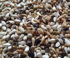 Papageienfutter Gro&szlig;sittichfutter Keimfutter Quellfutter 4kg