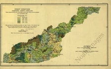 Map of Forest Condition NC 16x24