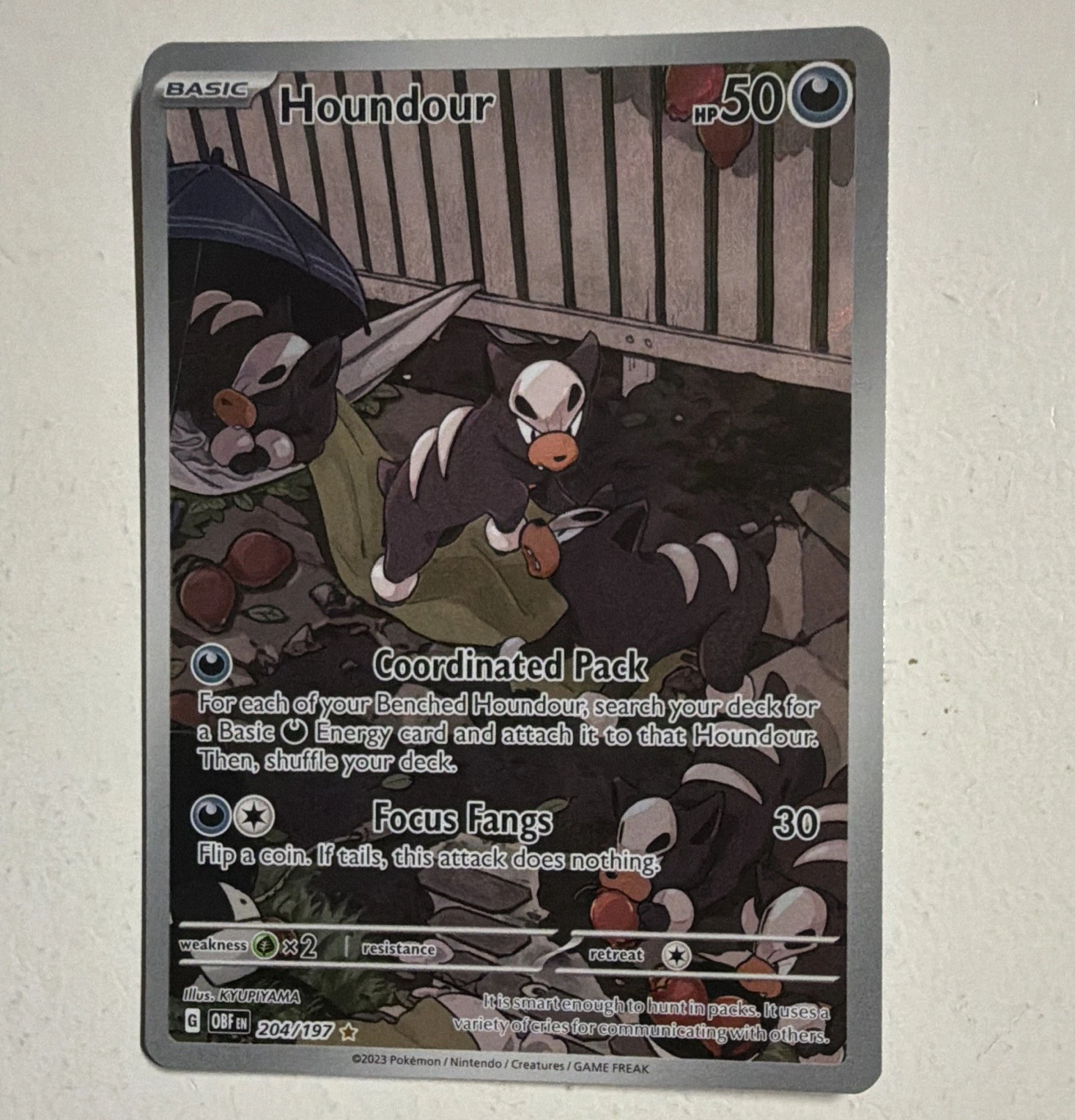 The Pokémon Company Pokémon TCG Houndour 204/197 Obsidian Flames Illus Rare Holo