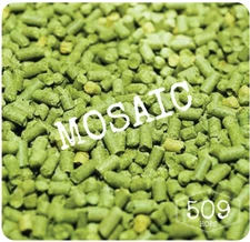 Mosaic Hop Pellets 1 pound for Home Brew 509hops