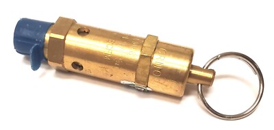 Kingston Valves 112CSS-2-040 1/4'' ASME Safety Valve, SS Ball/Spring Set-40psi