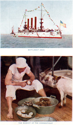 USS Ohio Great White Fleet Battleship Mascot Postcard