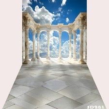 10'x20'CP Cloud Heaven Pillar Scenic Microfiber Fabric background backdrop SD281