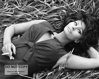 SOPHIA LOREN LEGENDARY ACTRESS & SEX-SYMBOL - 8X10 PUBLICITY PHOTO (FB