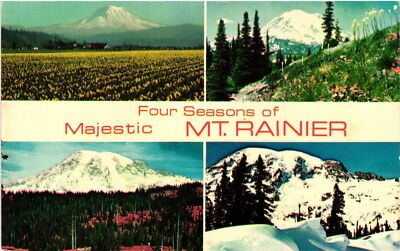 Vintage Postcard- Mount Rainier 1960s