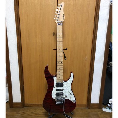 E-Gitarre Schecter EX-V