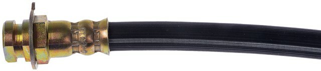 Picture 1