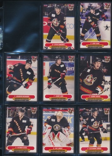 2006-07 to 2015-16 Choice Binghamton Senators AHL Team Set Single Cards - U PICK - Picture 18 of 194