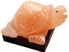 Lampada di sale Tartaruga dell' Himalaya salgemma con certificato di garanzia