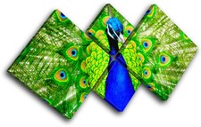 Peacock Feathers Animals MULTI CANVAS WALL ART Picture Print VA