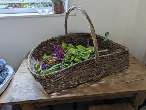 Wicker Trug'Flower Basket'1900-1910 English Original Condition Rare Prop Display - Picture 3 of 24