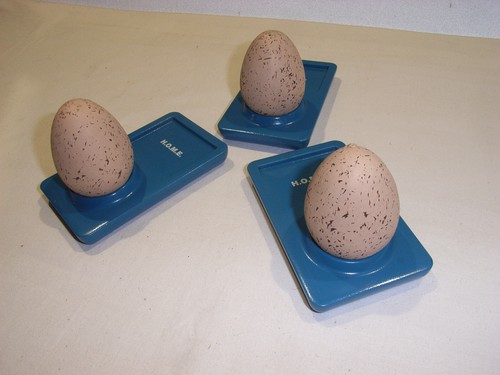 3 X Ei Pott KOZIOL 2009 blau Design Michael Neubauer Eierbecher - 第 2/6 張圖片