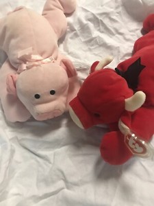 red pig beanie baby
