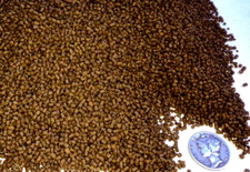 Premium "Cichlid" 1.5 mm Floating Sinking Pellet Bottom Feeder "Discus" Food