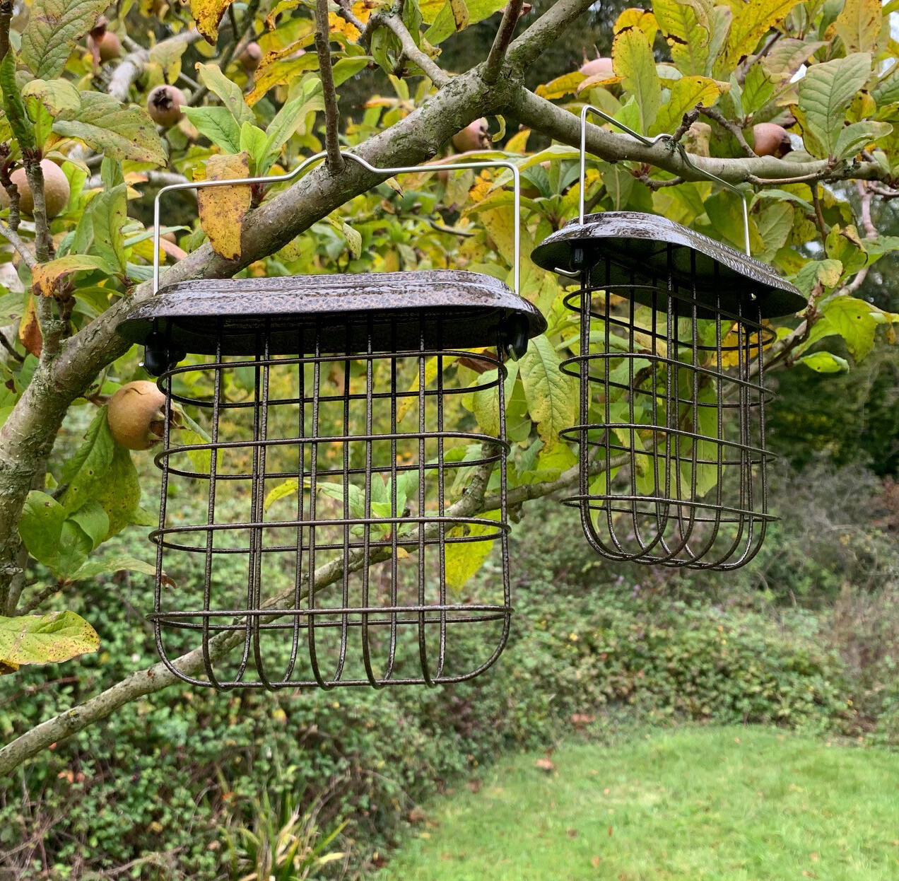 Hanging Metal Suet Block Bird Feeder for Feeding Stations (Set of 2)