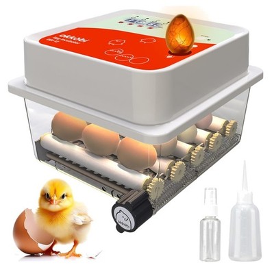 Vollautomatischer Brutautomat für 12 Eier inkl. Temperatur- und Feuchtigkeits...