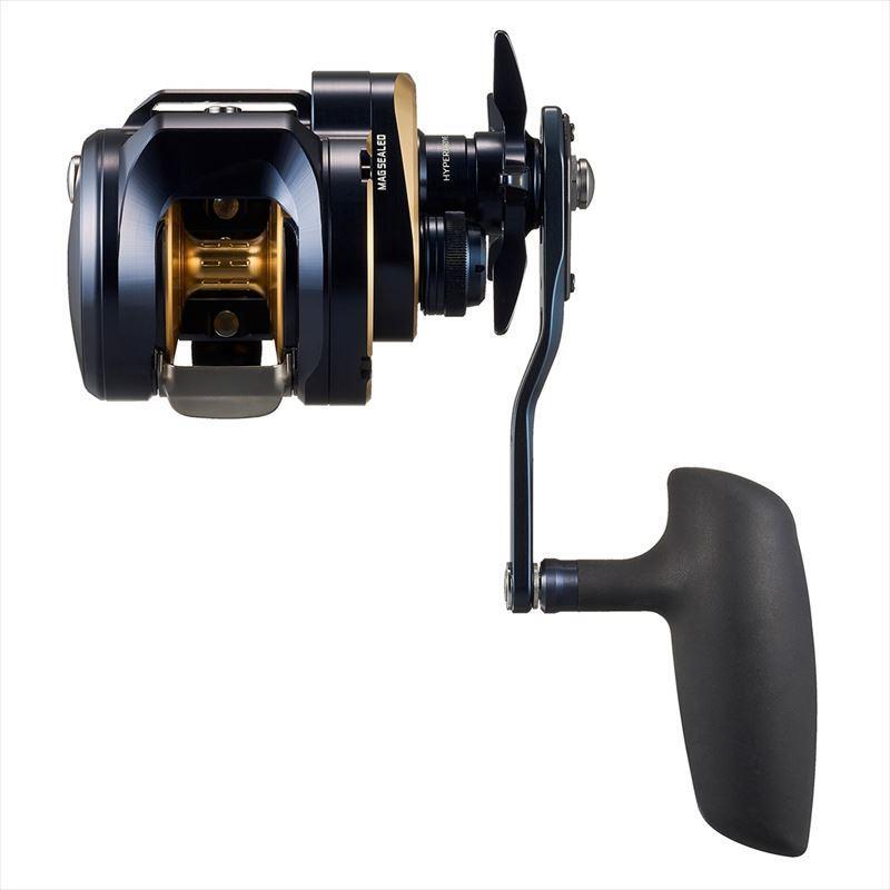 Daiwa 25 SALTIGA 300H Right Handed Saltwater Jigging Fishing Bait