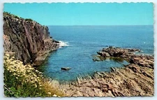 POSTCARD Ogunquit Maine Bald Head Cliff 100 Feet Above Sea Level
