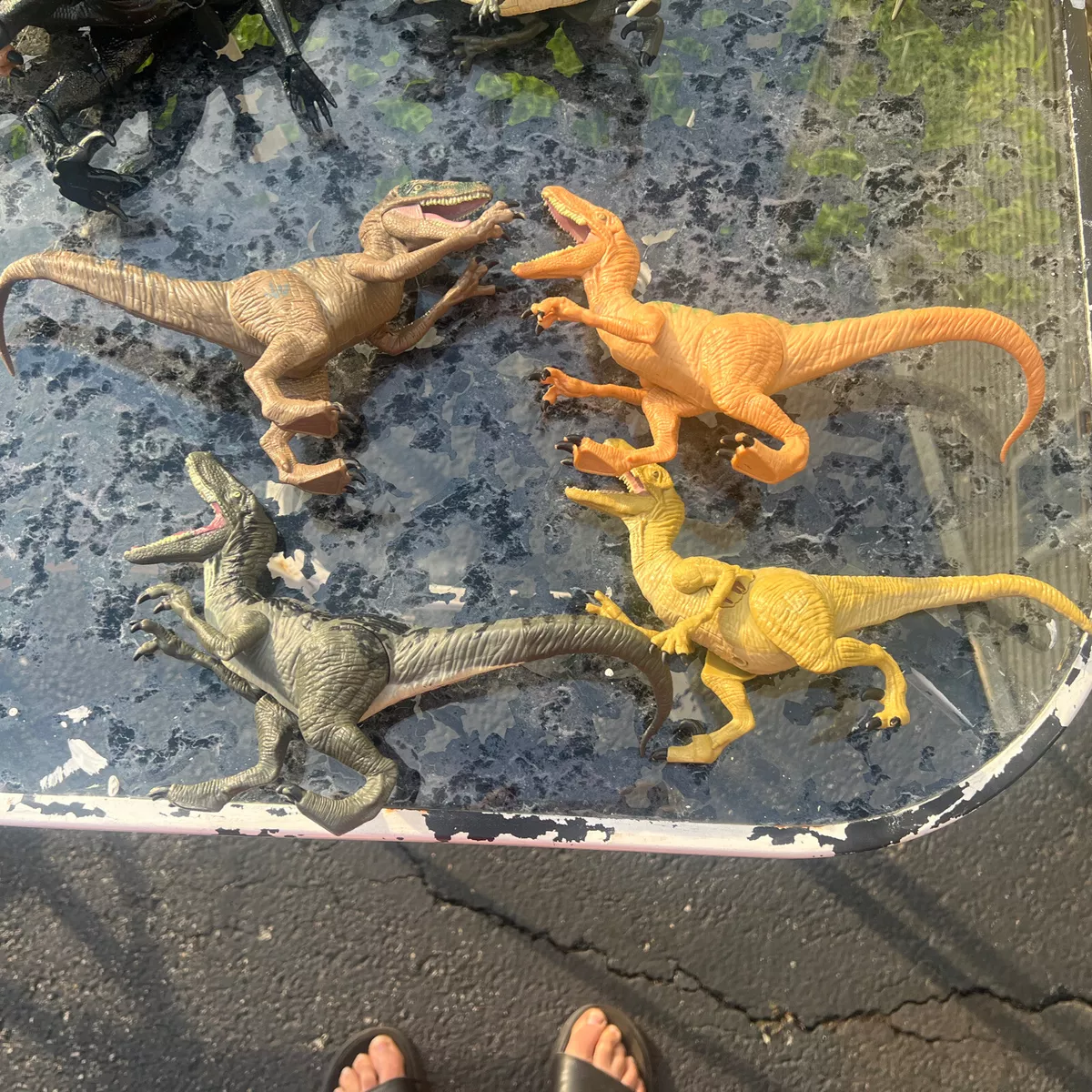 Velociraptor slippers outlet