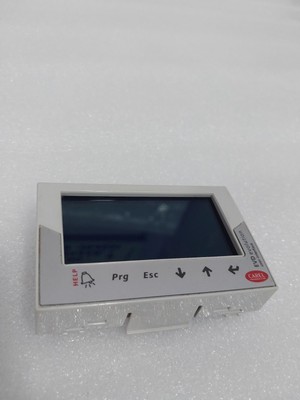 CAREL DISPLAY PER EVD EVOLUTION,RUSSO/EVDIS00RU0