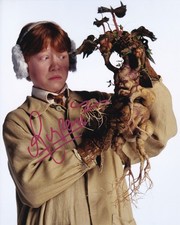 RUPERT GRINT signed autograph 20x25cm HARRY POTTER in person autograph ACOA