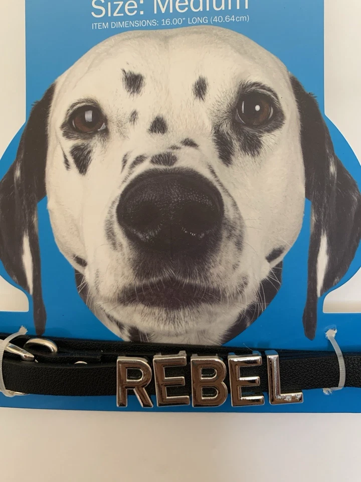 Dog Jewelry Name Collar. (Size Medium ) - Image 3 of 4