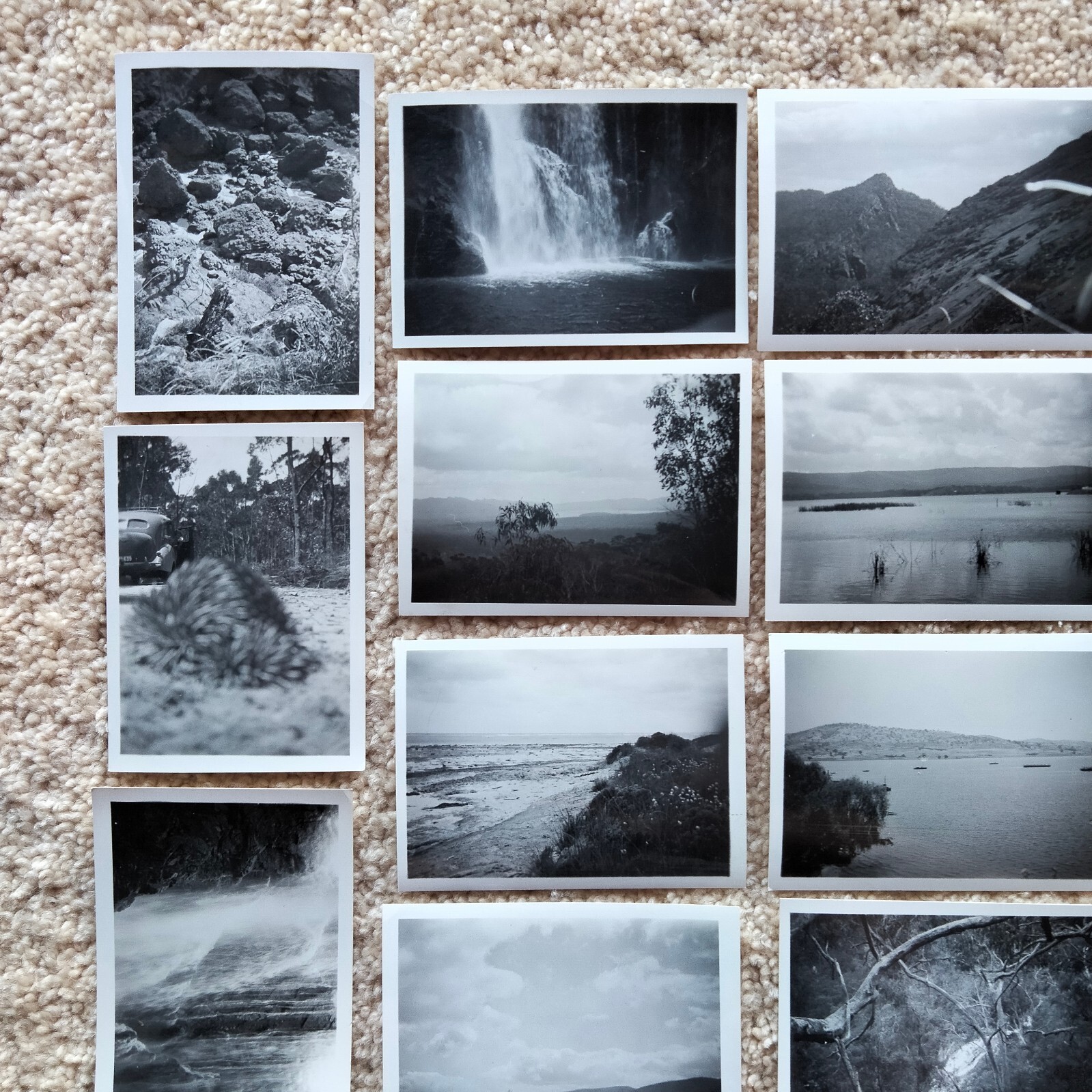Picture 4 of 9