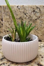 3D Printed Flower Pot - Other Colors Available! Approx 2" Tall x 4" widest part