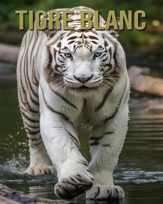 Tigre Blanc: D?couvrez des Informations et des Images ?tonnantes Concernant les 