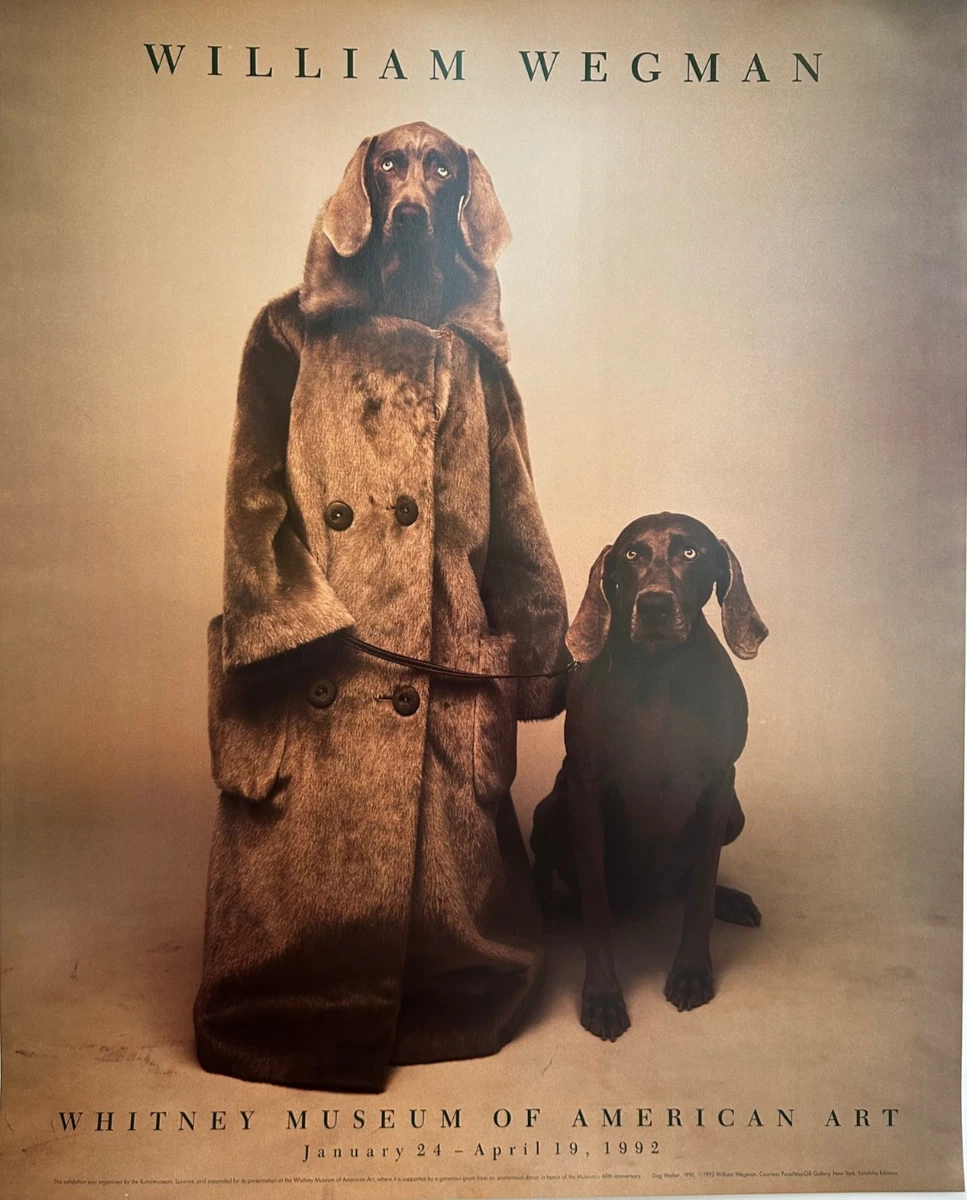 William Wegman Art Prints for sale | eBay