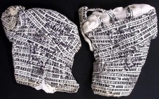 King Mo Lawal Signed Rizin FF MMA 2015 Grand Prix Fight Worn Used Wraps PSA/DNA