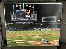 Chicago White Sox Lucas Giolito Signed 16x20 Photo No Hitter Fanatics COA Jersey